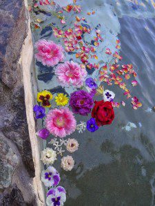 FlowersInWater