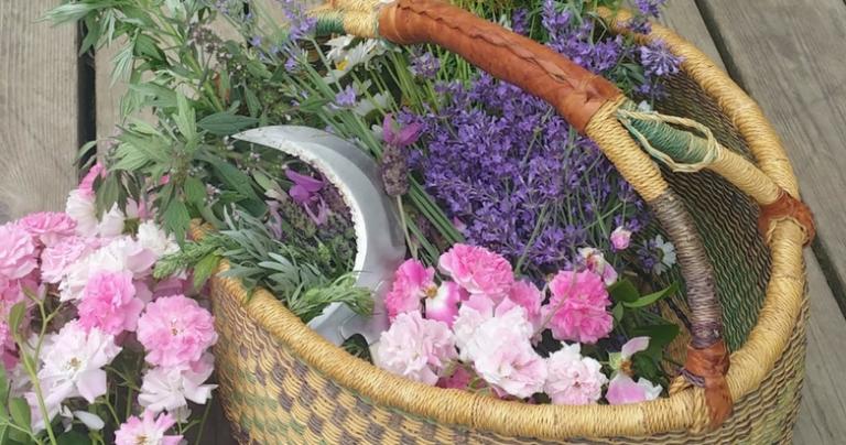 Harvest Basket