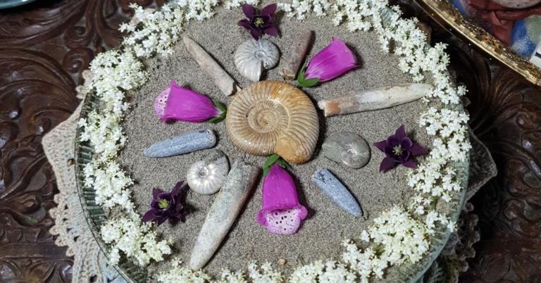 Ammonite and Belemnite Ritual - Frozen in Stone - Image by Annwyn