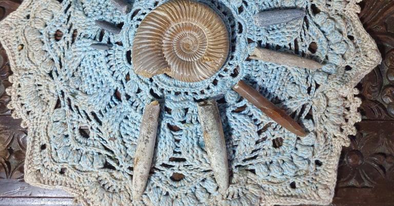 Ammonites and Belemnites - Frozen in Stone - Image by Annwyn