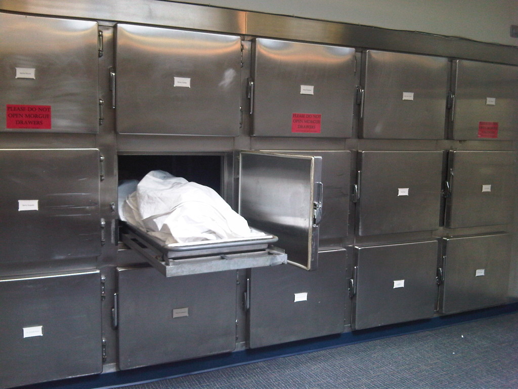 Morgue_(1)
