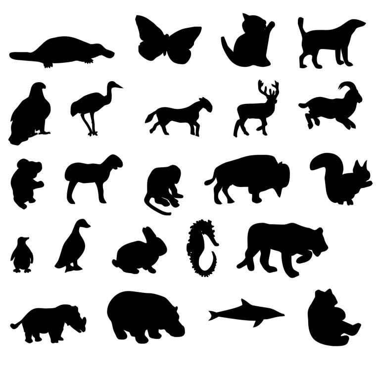 many-animals