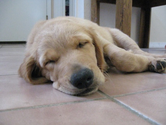 Listening to Sacred Stillness: Sometimes We Are Too Tired to Listen