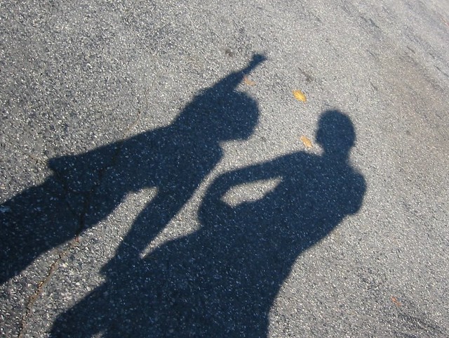 Do We See Our Own Shadow?: Practices From the Inside Out