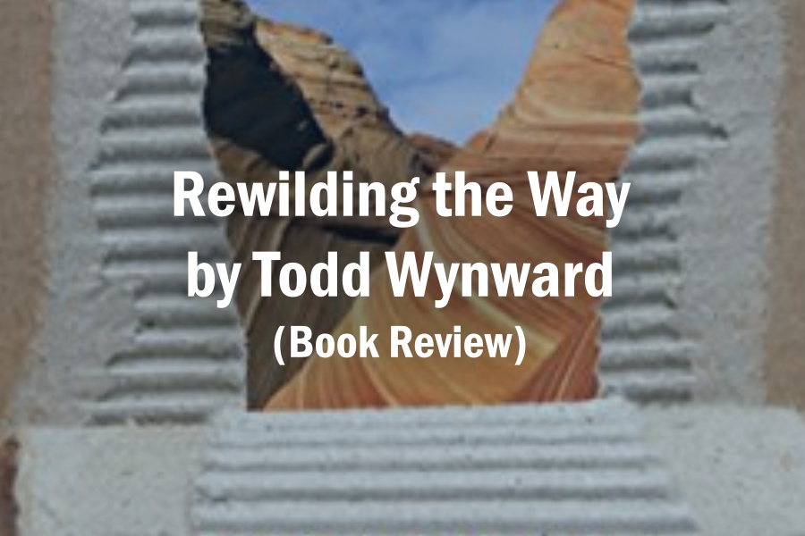 Rewilding the Way by Todd Wynward (Book Review)