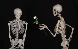 skeleton handing rose to another skeleton (pixabay)