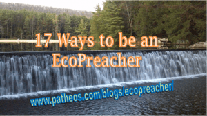17 ways to be an ecopreacher