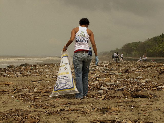 coastline clean-up