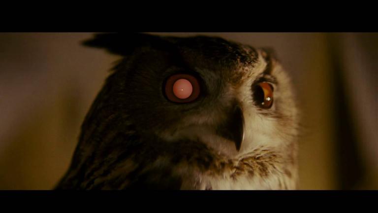 Blade Runner owl