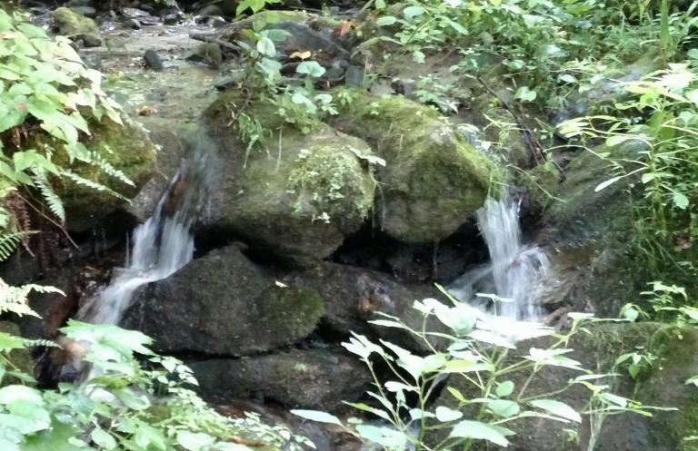 Stream waterfall. Photo by Leah D. Schade. All rights reserved.