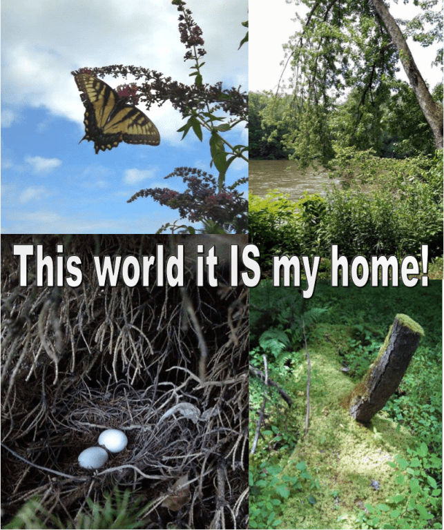 "This world it is my home!" Photo collage by Leah D. Schade