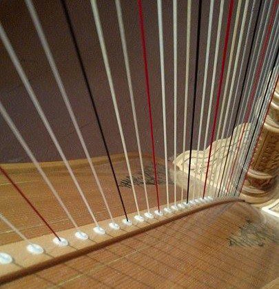 harp strings