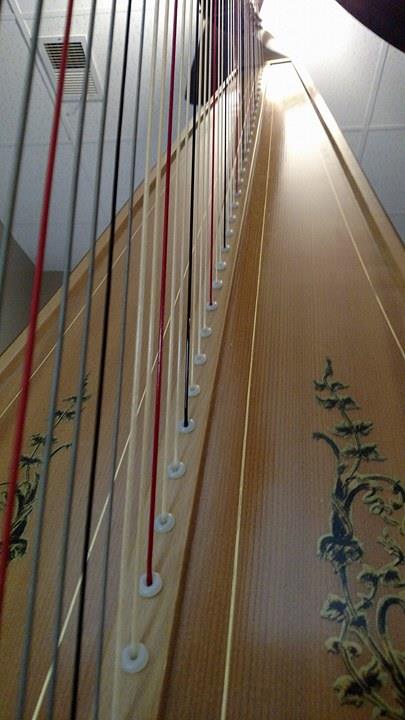 Harp strings, looking up. Photo by Leah D. Schade. All rights reserved.