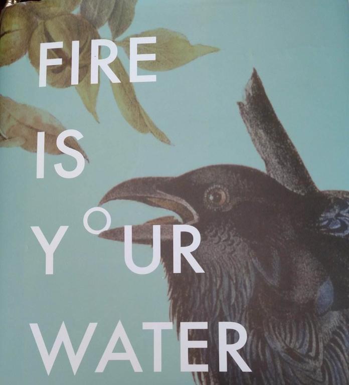 Fire Is Your Water, dust jacket.trimmed