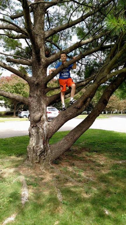 ben climbing tree