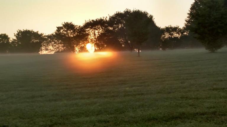 Dawn at Kirklevington Park, Lexington, KY. Photo credit: Leah D. Schade. All rights reserved.