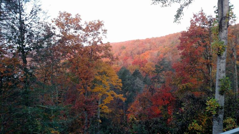 Pine Mountain Ridge in autumn, Kentucky. Photo credit: Leah D. Schade. All rights reserved.