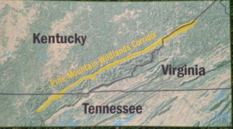 Pine Mountain Woodlands Corridor