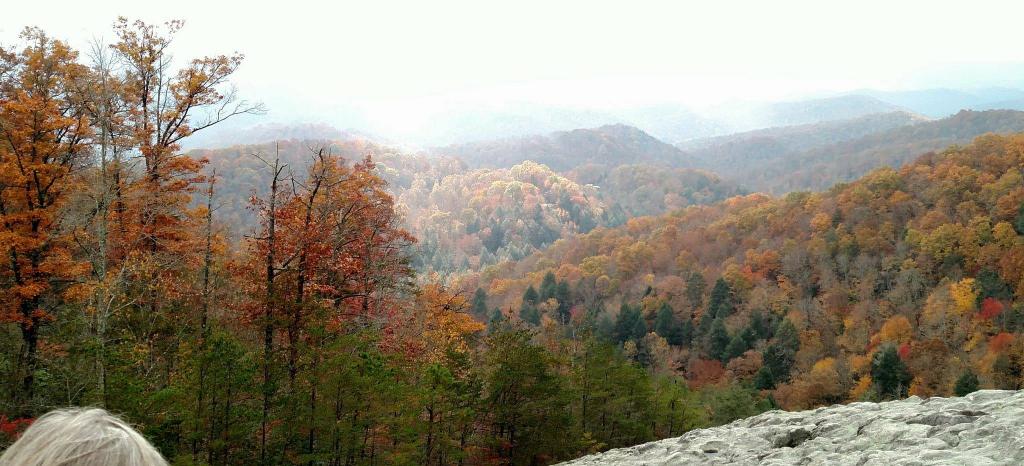 Sun shining on Knobby Rock at Blanton Forest, Pine Mountain, Kentucky