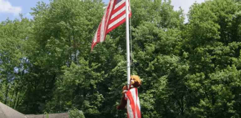 Trumpy Bear on flag pole
