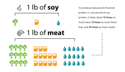 graphic - soy v. meat