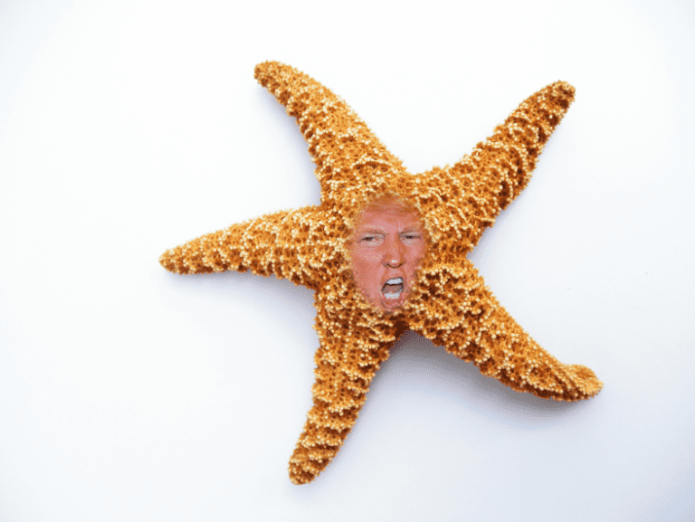 Trumpism starfish
