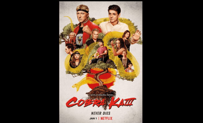 Cobra Kai Season 5 Sweeps the Leg of Doubt Ahead of Season 4