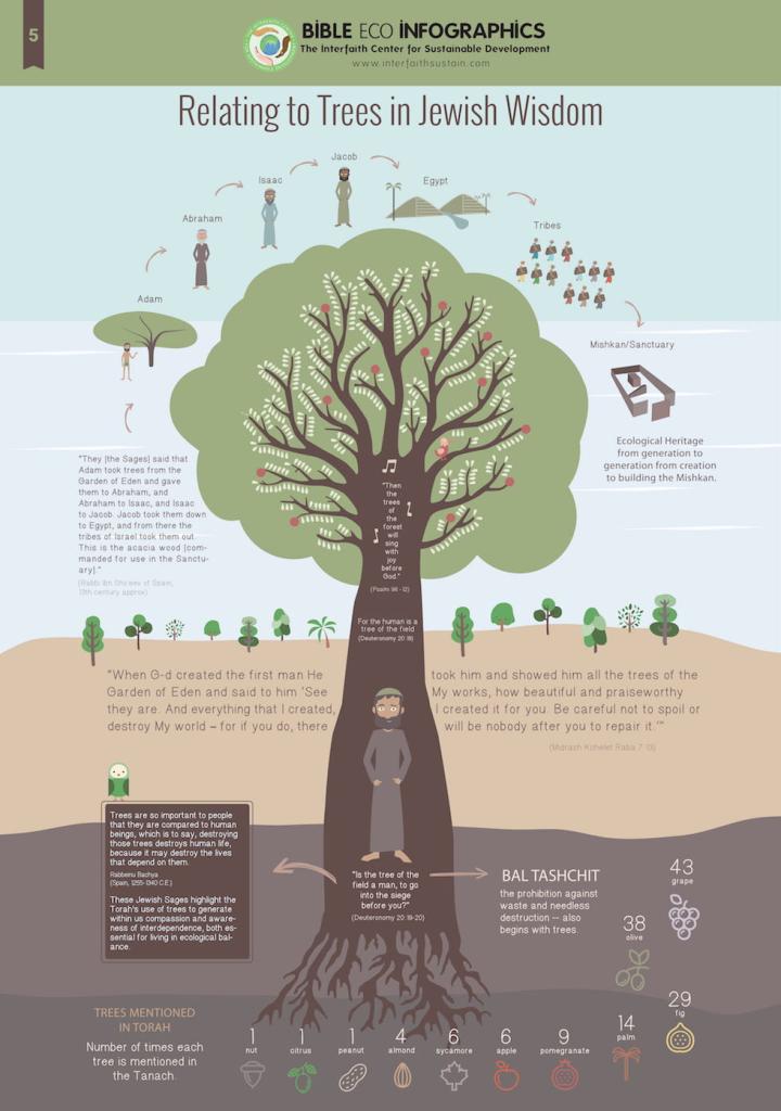 Eco Bible infographic on trees