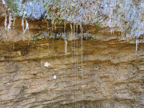 Ice dripping cliff walls Asbury Trails, Kentucky