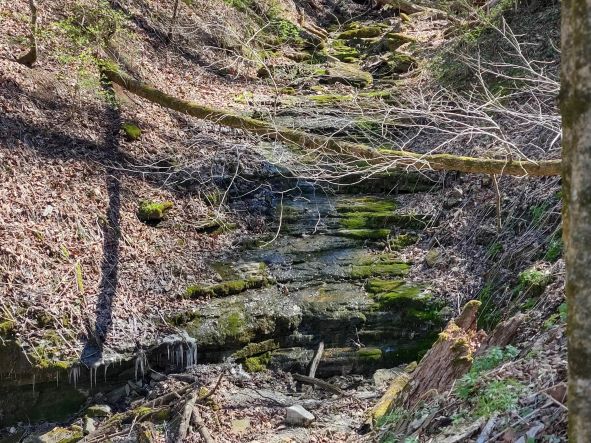 Ravine at Asbury TrRavine at Asbury Trails, Kentuckyils, Kentucky