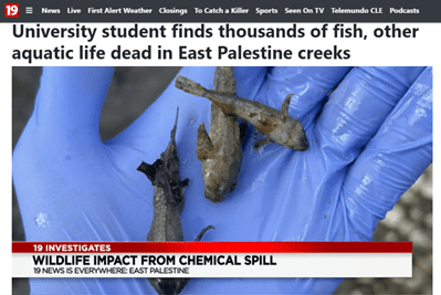 East Palestine aquatic animals killed after Norfolk Southern train derailment