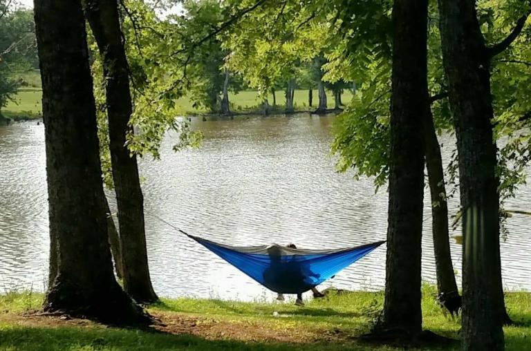People on hammock lakeside