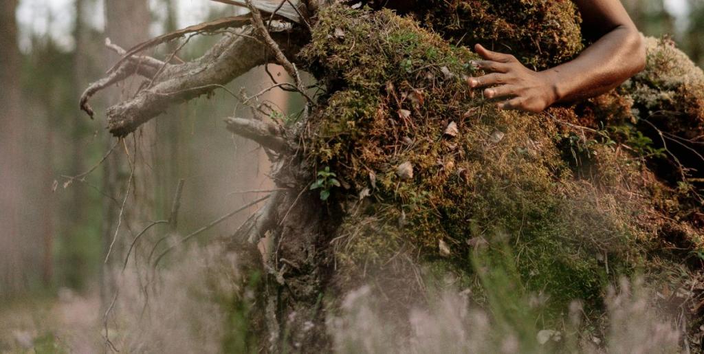 Healing a wounded Earth with compassion