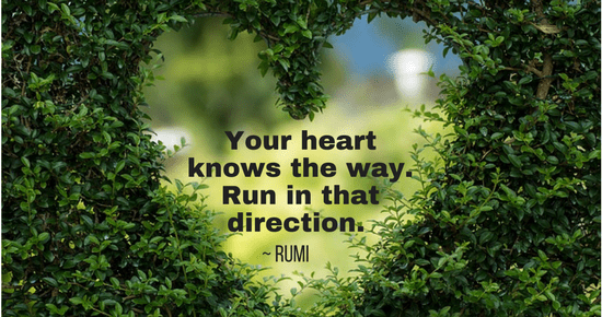 Your heart knows the way. Run in that direction.