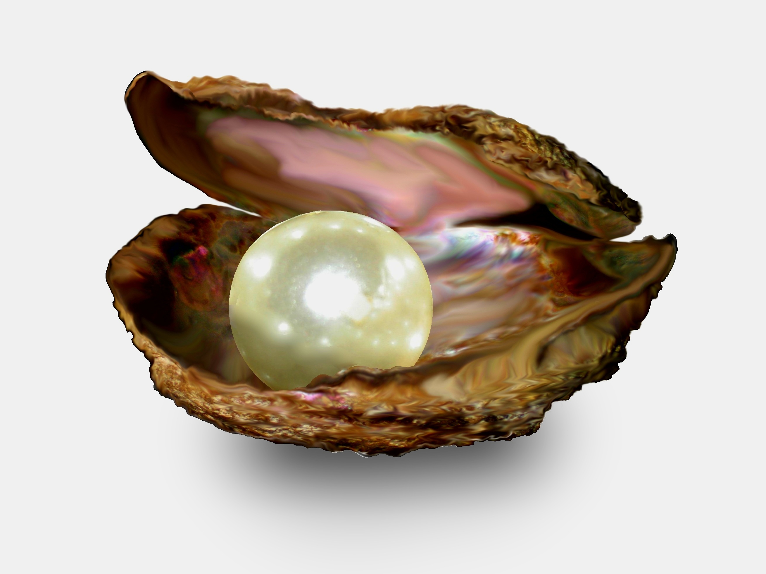 pearl-of-great-price-vibrance1[1]