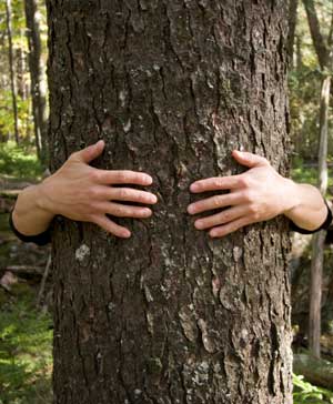 tree_hugger