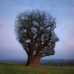 mindfulness
