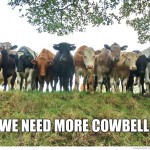 cow cowbell