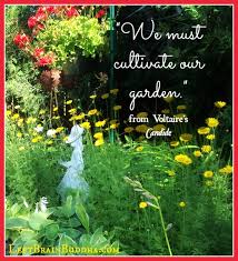 Let Us Cultivate Our Garden Vance Morgan
