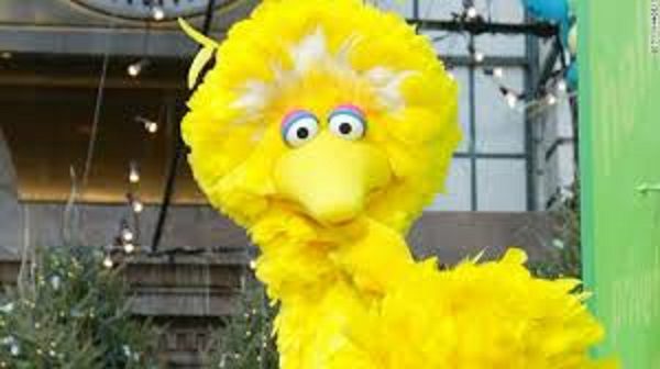 big bird 2