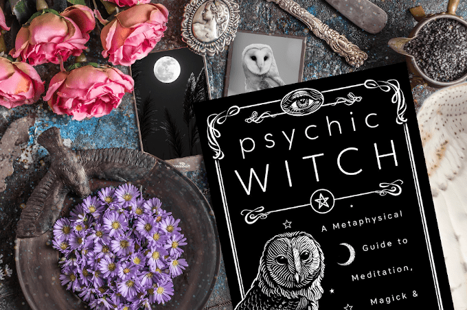 Preview Psychic Witch Foreword By Devin Hunter Guest - 