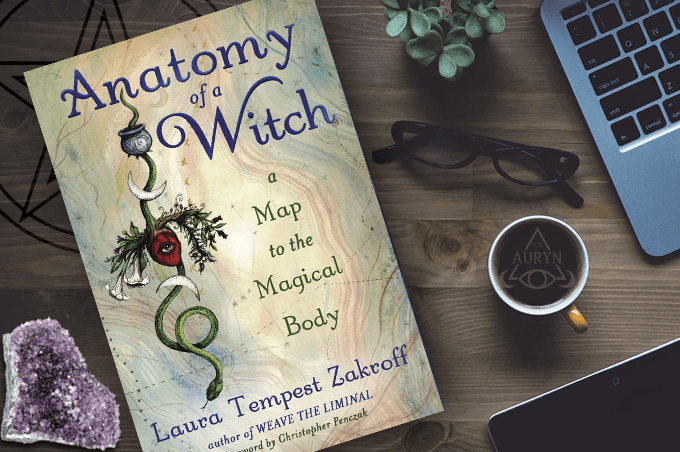 Review: Anatomy of a Witch