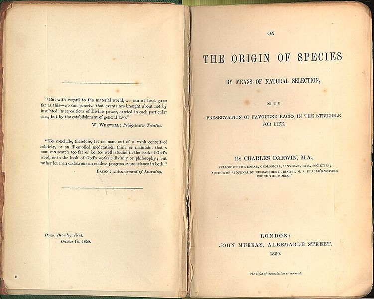 The 1859 cover of the Origin of Species. Public domain.