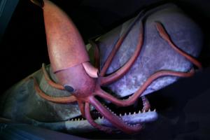 Genesis Sea Monsters Giant Squid and Sperm Whale