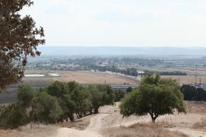 Jezreel Valley near home of Naboth