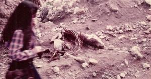 Was the prophecy of Jeremiah 22:19 fulfilled?