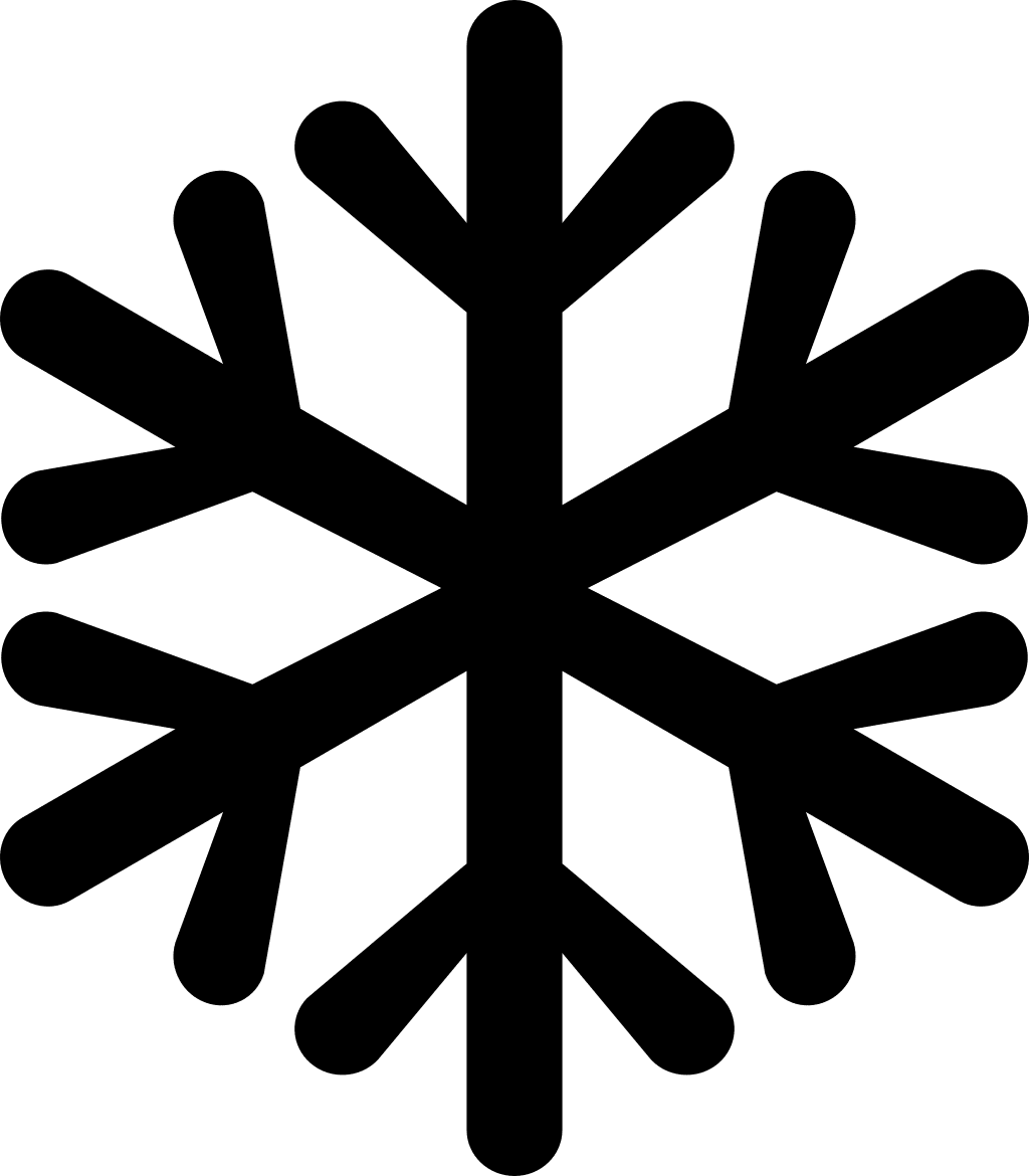 snowflake sigil pagan witch