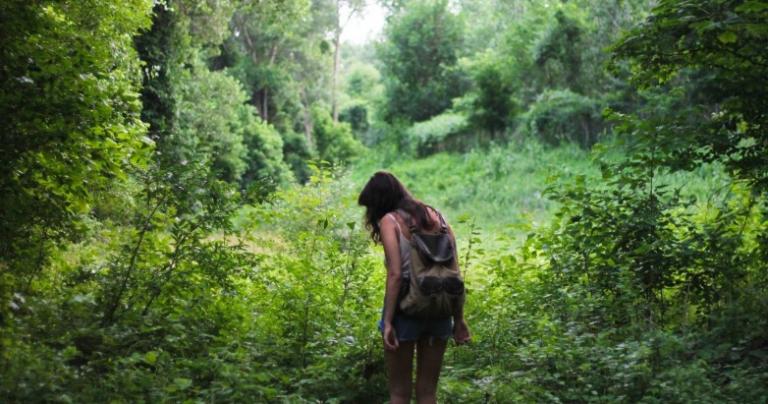 witch walk forest trees woman bag collect harvest