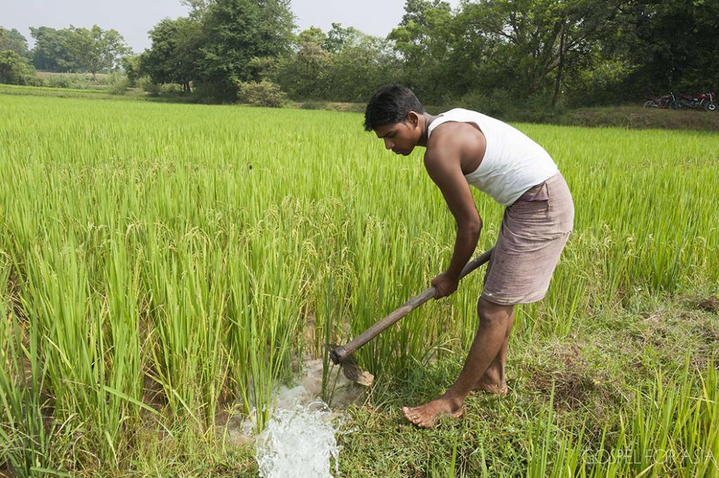 Although they laborer from sun up to sun down, millions of families in Asia still live in extreme poverty.