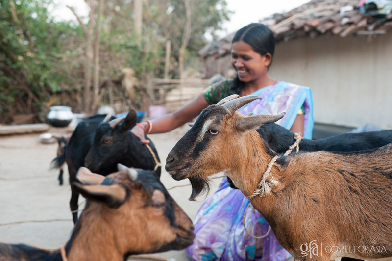 A woman receives a goat as a Christmas gift - KP Yohnannan - Gospel for Asia